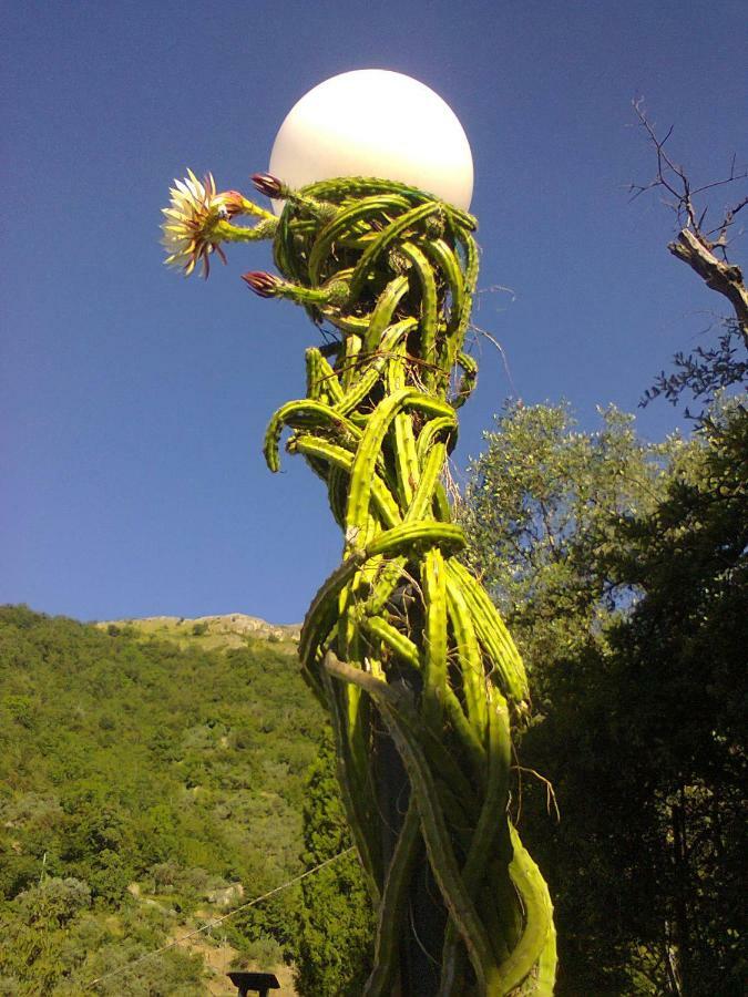 La Margherita Di Teriasca Εξωτερικό φωτογραφία